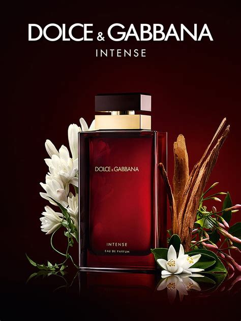 dolce gabbana duftzwilling|Dolce & Gabbana intense neroli.